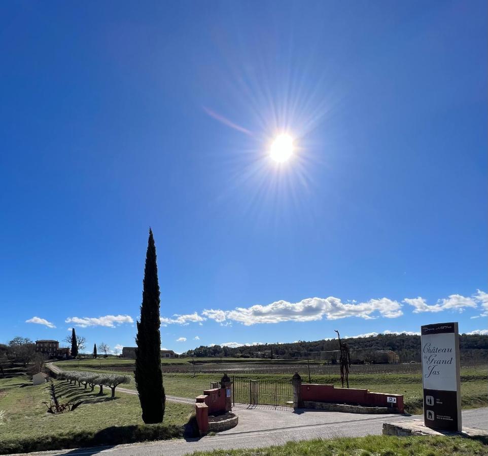 Chateau Du Grand Jas Entrecasteaux エクステリア 写真