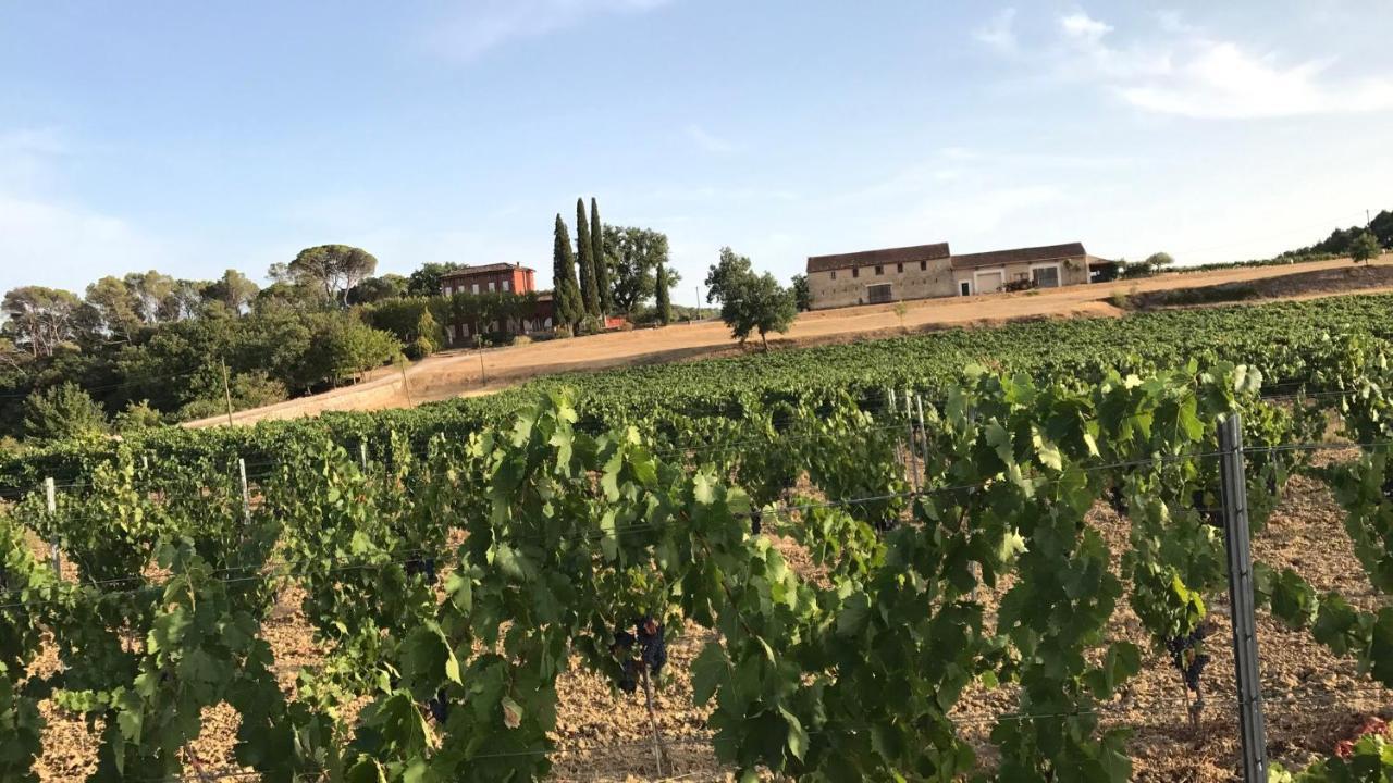 Chateau Du Grand Jas Entrecasteaux エクステリア 写真