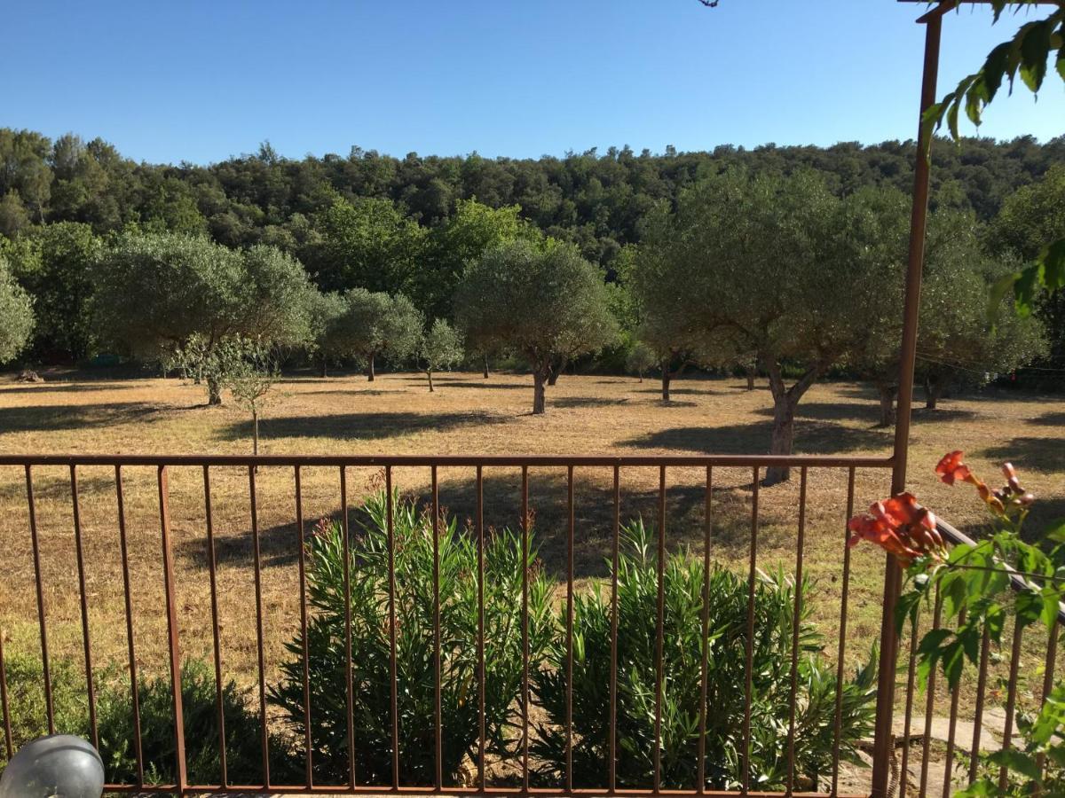 Chateau Du Grand Jas Entrecasteaux エクステリア 写真