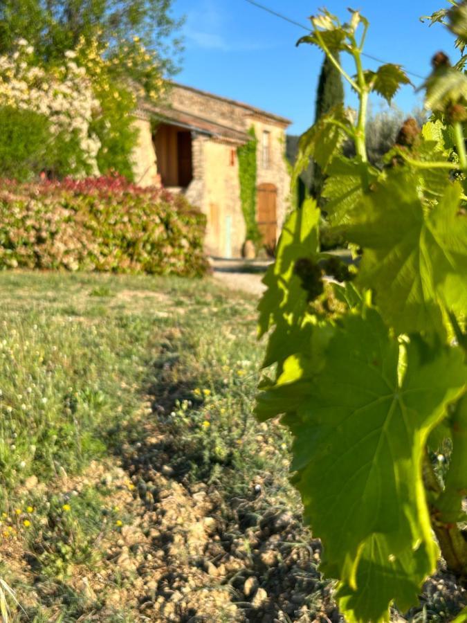 Chateau Du Grand Jas Entrecasteaux エクステリア 写真